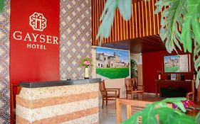 Hotel Gayser